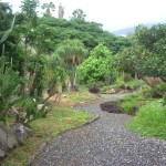 Ботанический сад Каракаса