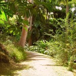 Ботанический сад Флауэр-Форест около Сент-Джозефа
