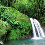 Водопад в тропическом лесу, Пти-Мартиника
