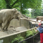Литовский зоопарк в Каунасе