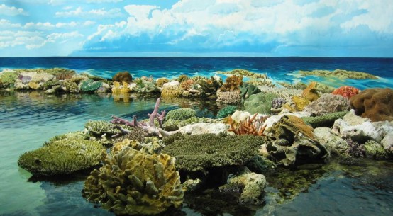 Большой Барьерный риф (Австралия)