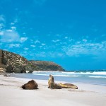 Пляжи в Аделаиде
