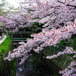 Садовые и парковые зоны Киото